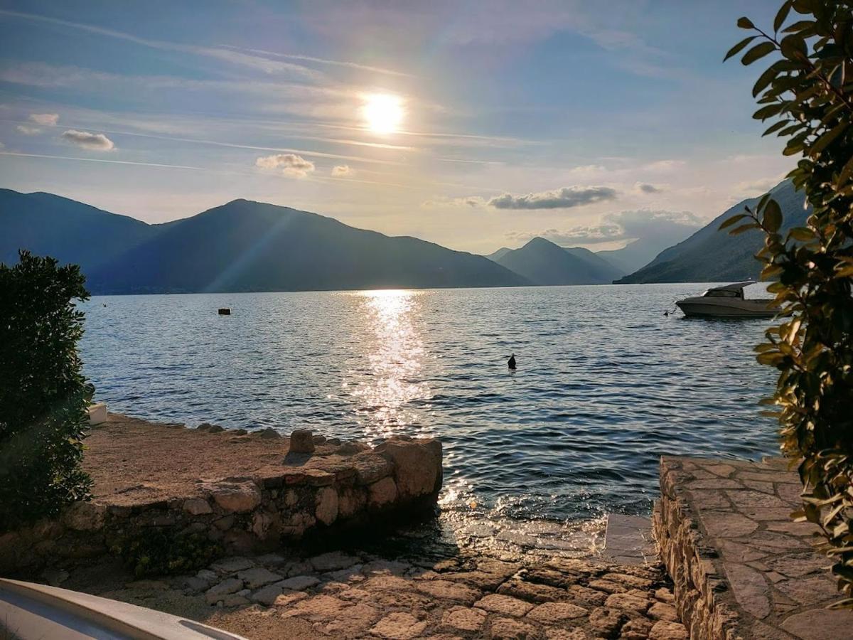 Apartment Cizek Kotor Eksteriør bilde