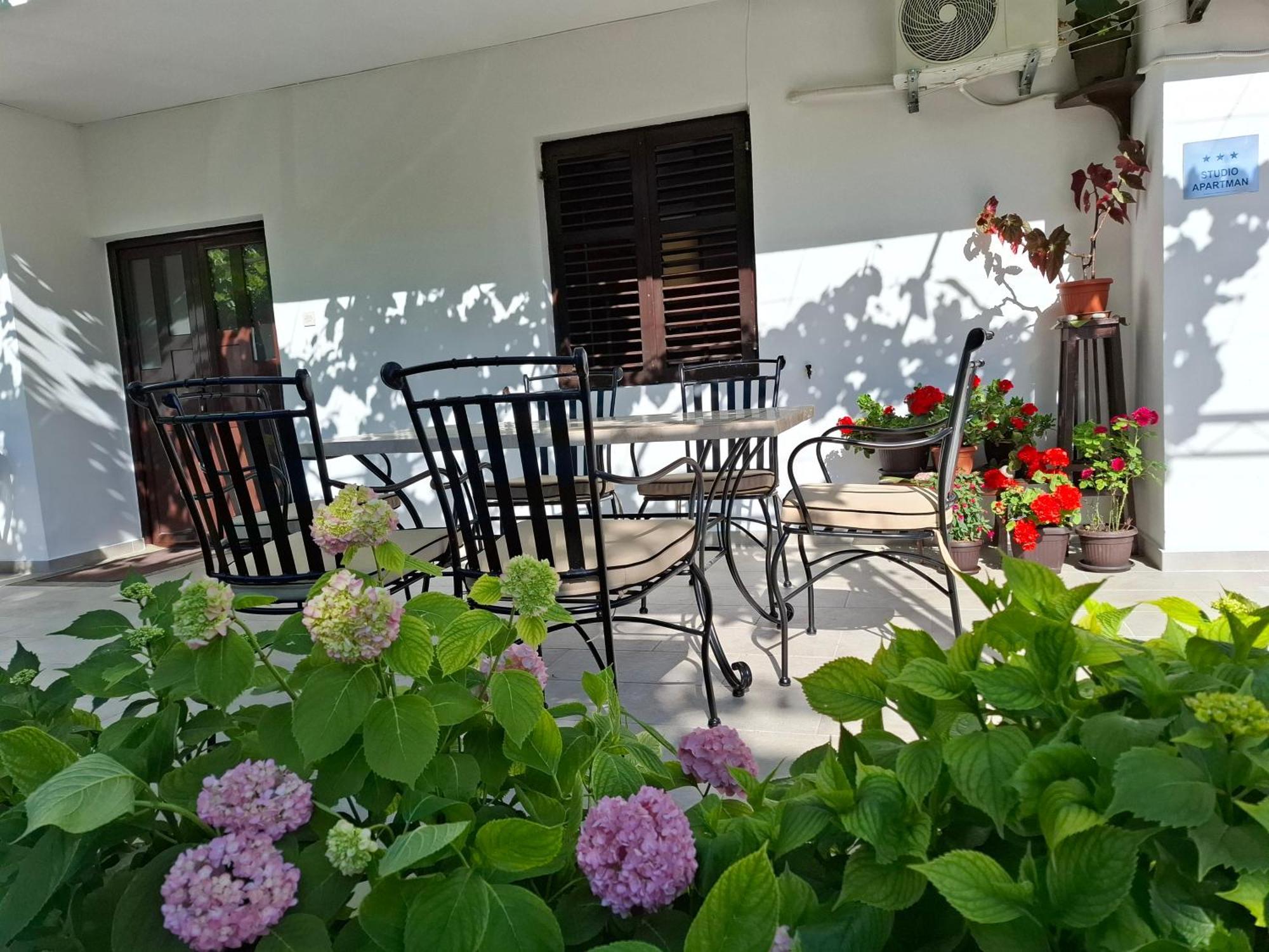 Apartment Cizek Kotor Eksteriør bilde